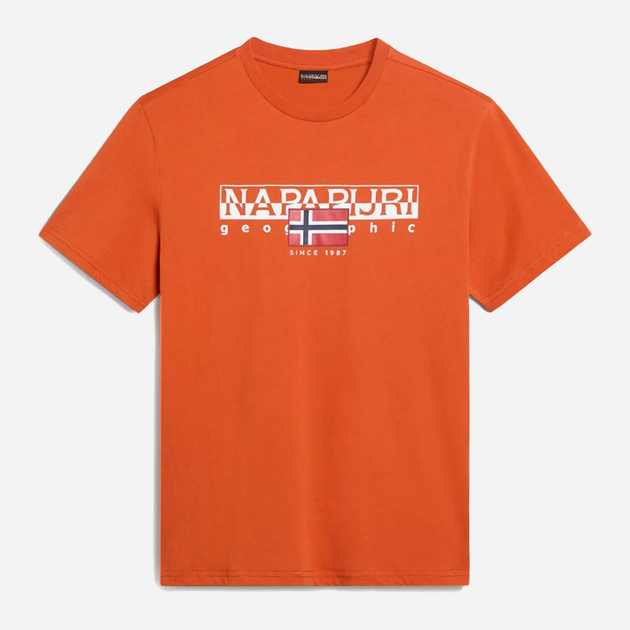 Футболка бавовняна довга чоловіча Napapijri S-Aylmer NP0A4HTOA621 S Оранжева (800070320984) - зображення 4
