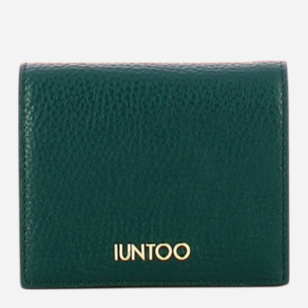 Portfel damski skórzany Iuntoo Armonia 167068101 Turkusowy (800070346721) - obraz 1