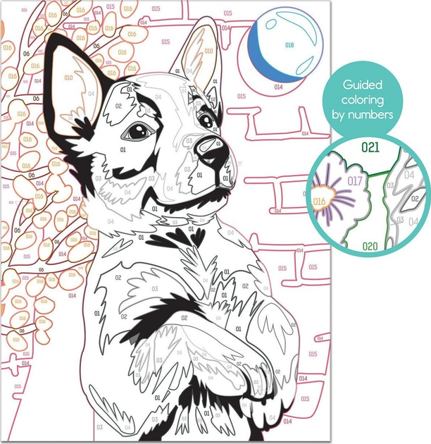 Розмальовка за номерами As Paint Веселий хаскі 40 x 50 см 1038-41013 (5203068410131) - зображення 2