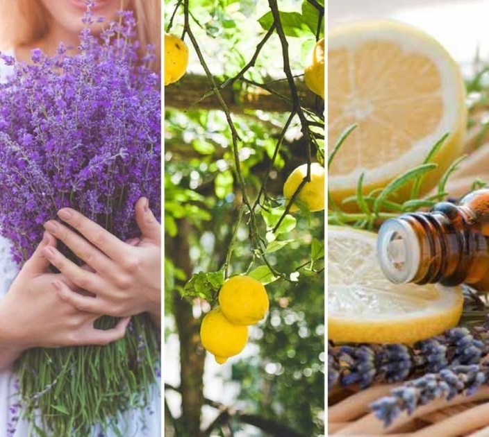 Świeca zapachowa Yankee Candle Lemon Lavender 122 g (5038581155487) - obraz 2