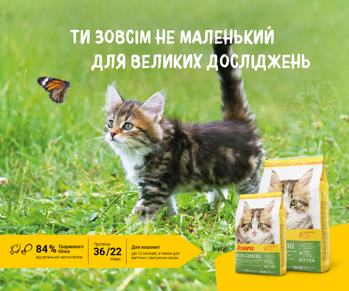 Беззерновий корм для кошенят JOSERA Kitten grainfree 10 кг - Фото 2 Беззерновий корм для кошенят JOSERA Kitten grainfree 10 кг - изображение 2