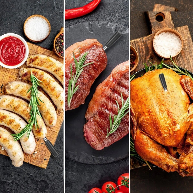 Termometr do mięsa Tesla Cook BBQ 200 z sondą Bluetooth 5.2 i aplikacją mobilną (8595689805739) - obraz 13