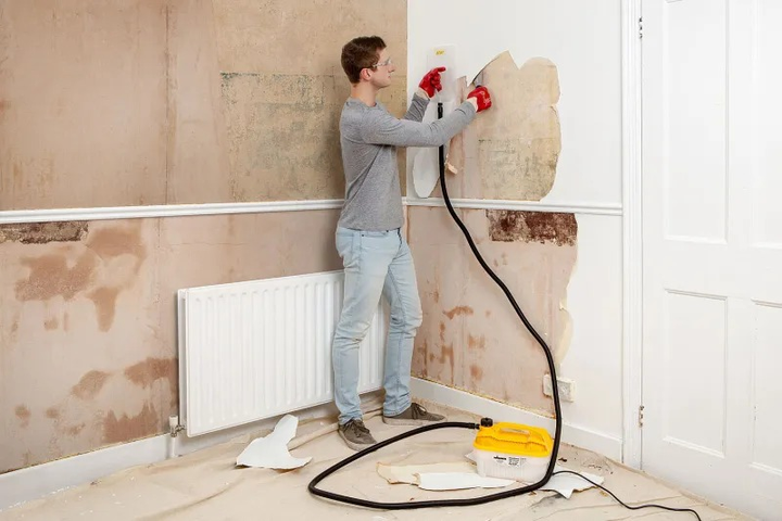 Паровий апарат Wagner для здирання шпалер мережевий 2000 W (4004025098758) - зображення 5