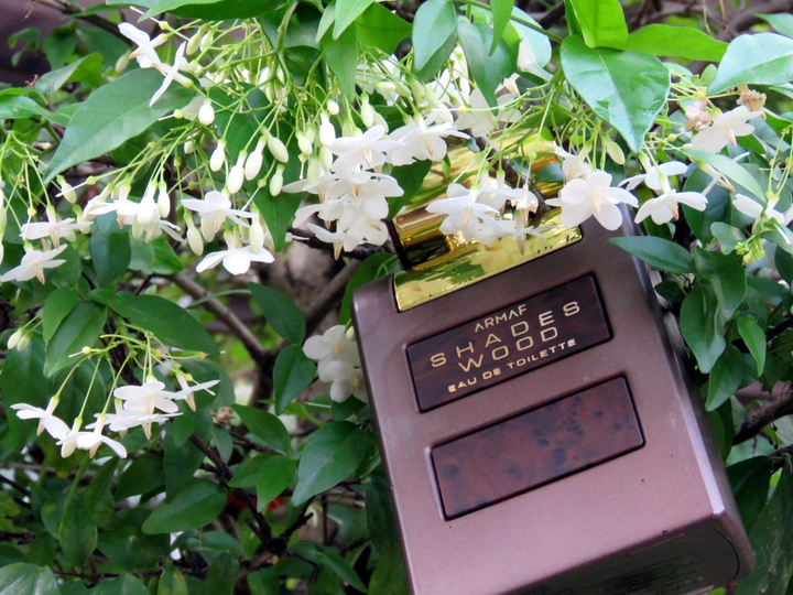 Woda toaletowa męska Armaf Shades Wood 100 ml (6085010094953) - obraz 3