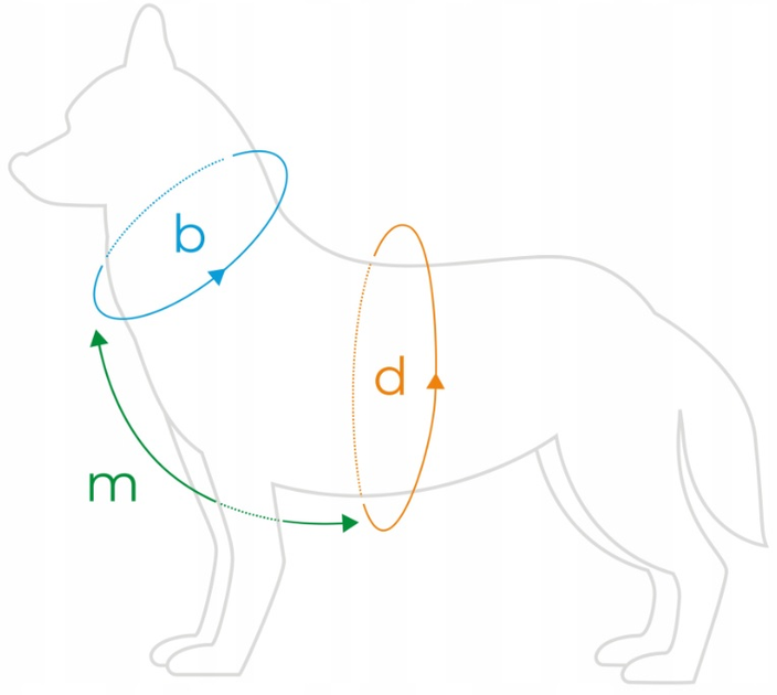 Шлея регульована для собак Amiplay Guard Popular L Чорно-рожева (5907563315358) - зображення 2