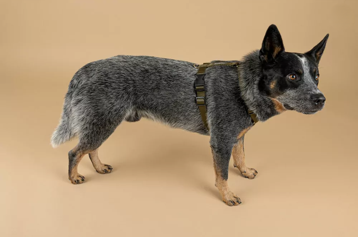 Шлея регульована для собак Amiplay Guard Popular L Чорно-рожева (5907563315358) - зображення 7