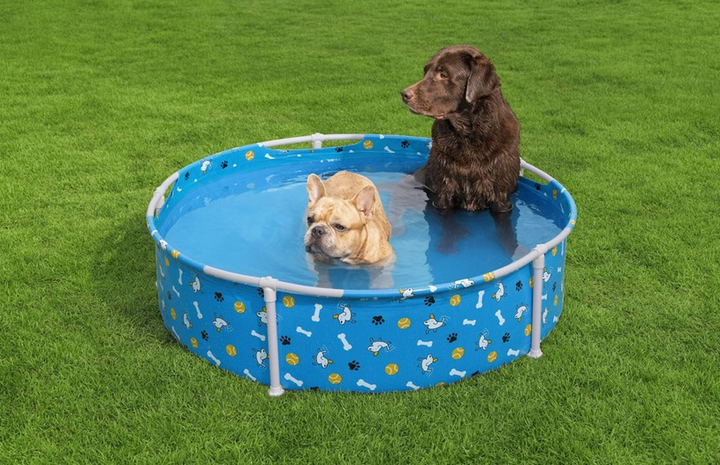 Basen stelażowy Bestway 7035077004 dla zwierząt domowych Fetching Fun 122 cm (6941607366028) - obraz 2