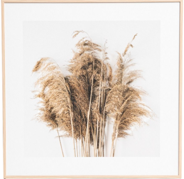 Obraz Homla suszki 30 x 30 cm (5906496757679) - obraz 1