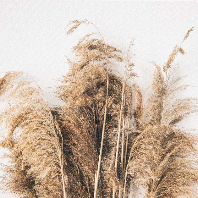 Obraz Homla suszki 30 x 30 cm (5906496757679) - obraz 3