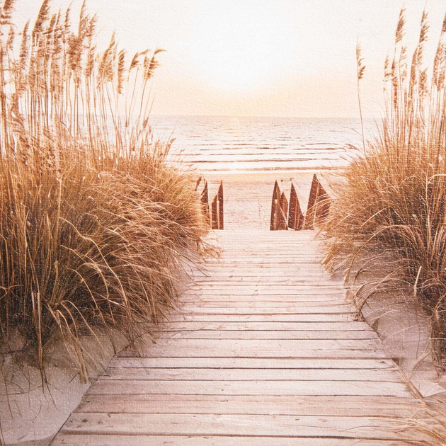 Obraz Homla zejście na plaże 30 x 30 cm (5906496757655) - obraz 3