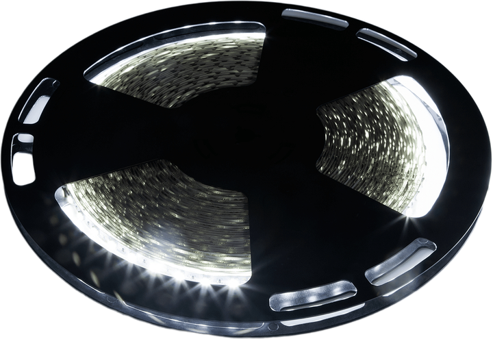 Taśma LED Rebel 1500 x 5050 SMD 12V 25 m Zimny biały (LED0172-2) - obraz 1