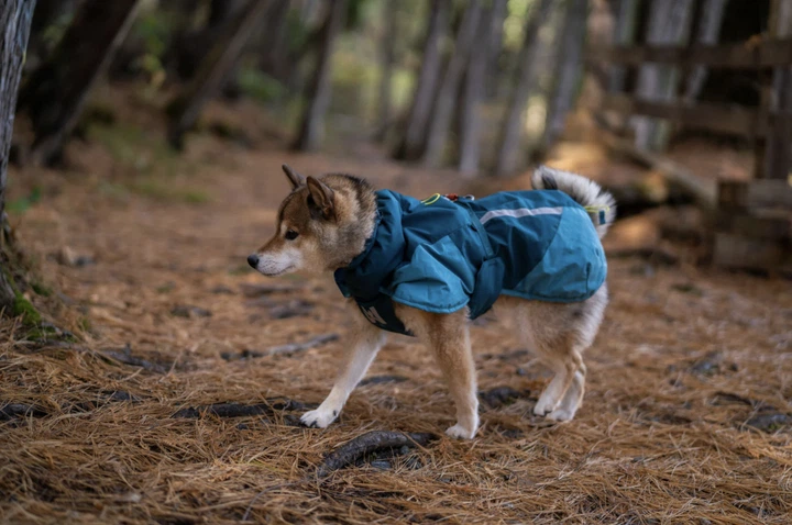 Тепла зимова куртка для собак Glacier jacket 3.0 Non-stop dogwear Бірюзовий 30 - Фото 2 Тепла зимова куртка для собак Glacier jacket 3.0 Non-stop dogwear Бірюзовий 30 - изображение 2