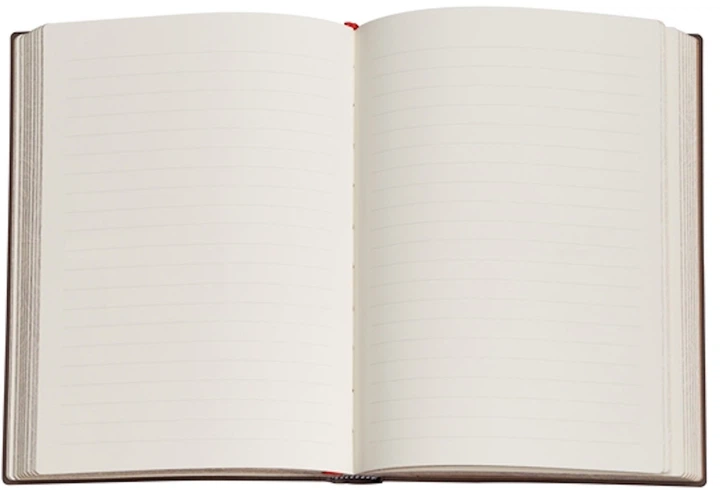 Записник Paperblanks Антоніо Гауді – Манускрипти 18х23 см 144 сторінки в лінію PB9778-5 (9781439797785) - зображення 4