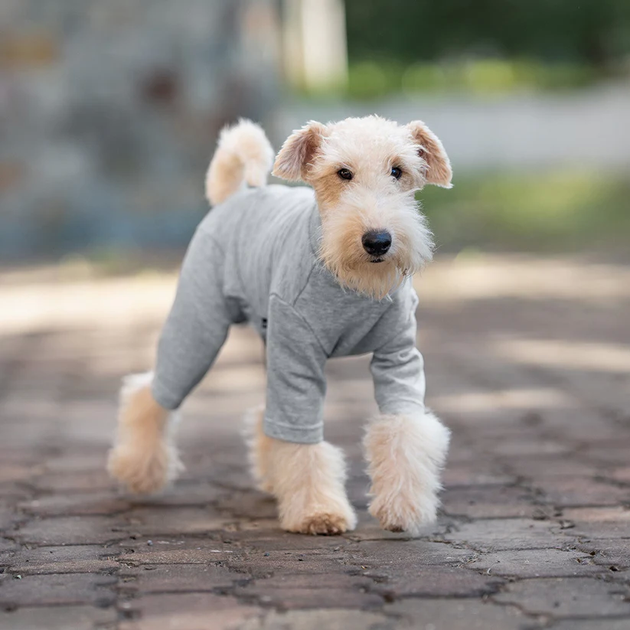 Базовый комбинезон/пижама для собак V.PET.B.R. Dog Jumpsuit CF36 Grey, XS - Фото 3 Базовый комбинезон/пижама для собак V.PET.B.R. Dog Jumpsuit CF36 Grey, XS - изображение 3