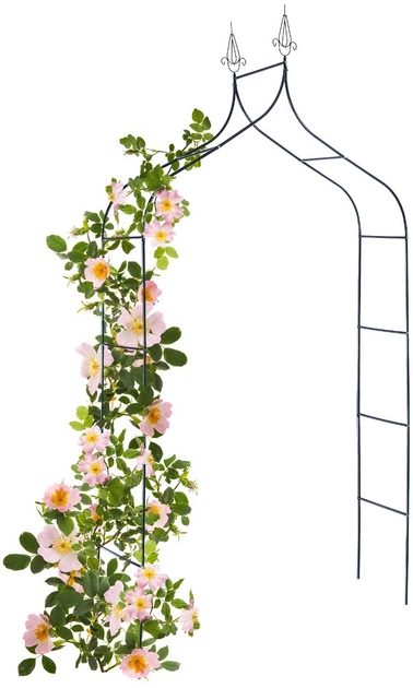 Pergola ogrodowa Kadax K10069 - obraz 6