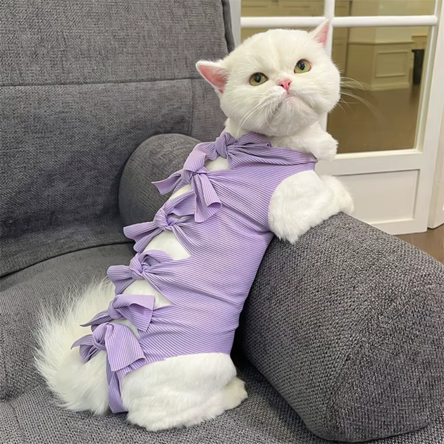 Одяг для котів після операції Holley Bow-knots Purple L - Фото 1 Одяг для котів після операції Holley Bow-knots Purple L - изображение 1