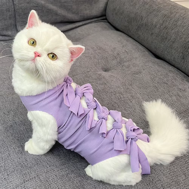 Одяг для котів після операції Holley Bow-knots Purple L - Фото 2 Одяг для котів після операції Holley Bow-knots Purple L - изображение 2