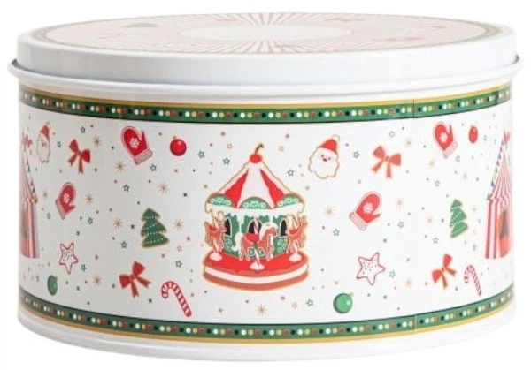 Pojemnik Homla Circoria металевий 21 x 12 см (5906496715600) - зображення 1