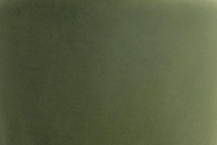 Комплект з 2-х обідніх стільців Bali Green forest velvet - изображение 7