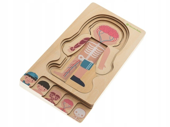 Дерев'яні багатошарові пазли KIK будова тіла Montessori хлопчик 28 шт (KX5957_1) (5903039721517) - зображення 3