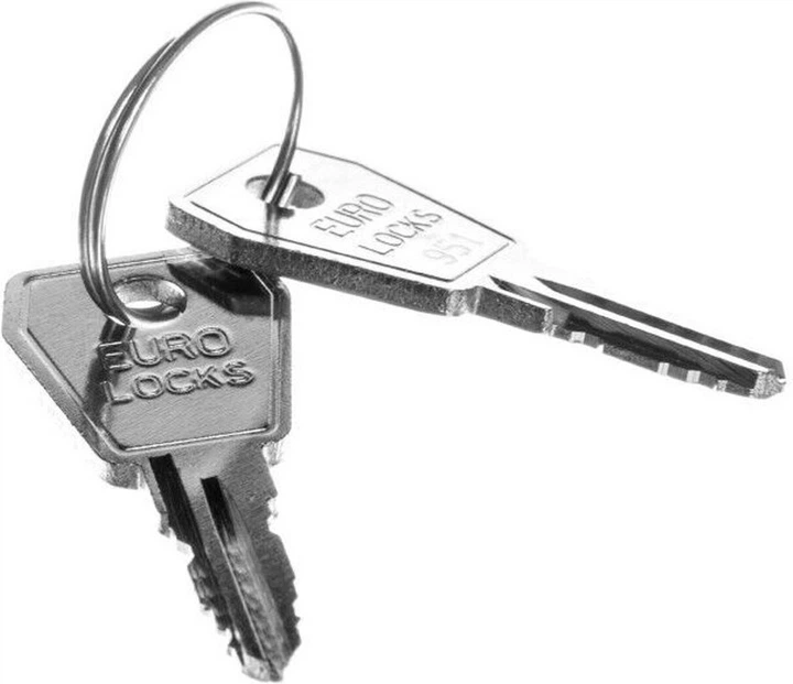 Zamek do drzwi metalowych Elektro-Plast MSF 43 x 26 mm z kluczmi (2000-10) - obraz 2