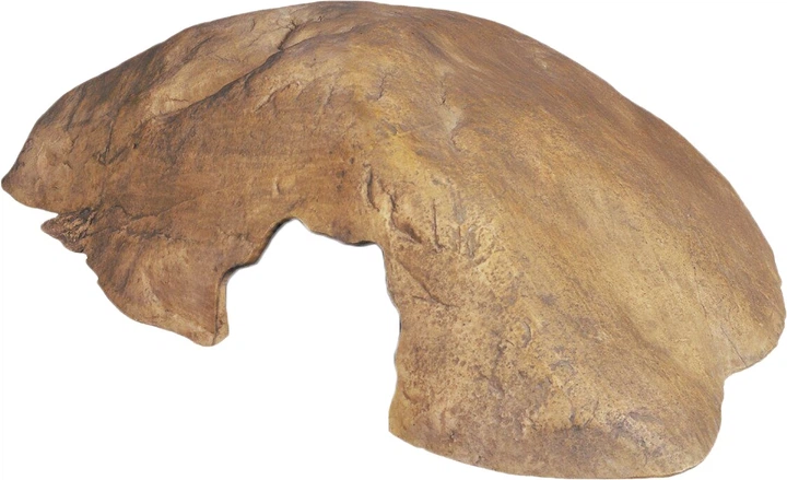 Grota Exo Terra Reptile Cave rozmiar M 22 cm plastik PT2931 (015561229319) - obraz 1