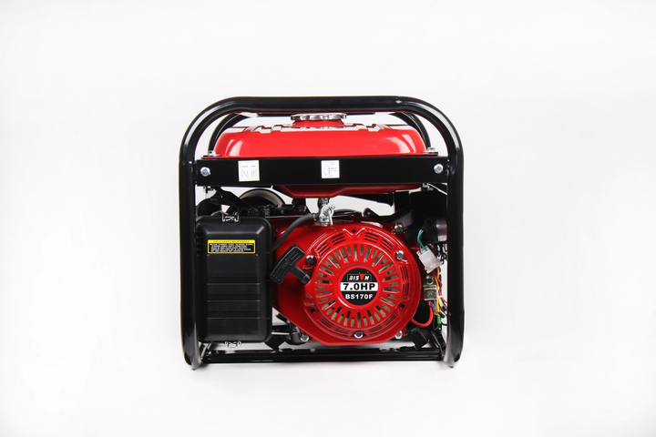 Генератор Bison 3500 газ/бензин 3Квт 4-тактный, 7 л.с., однофазный, медь, AVR 210 см³ - изображение 6