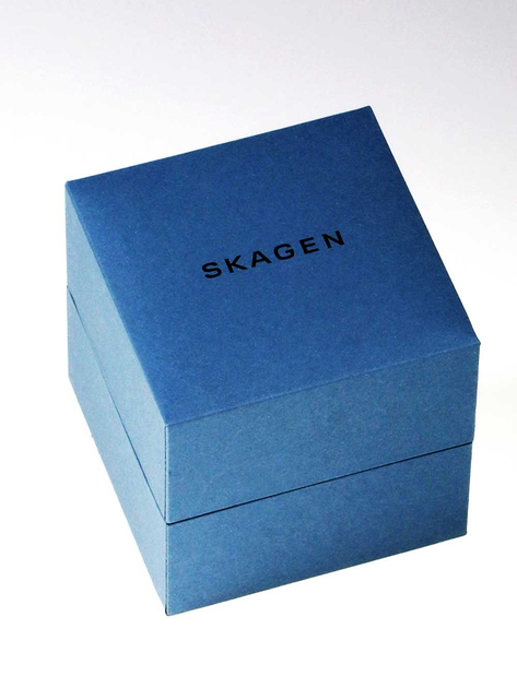 Skagen skt1202 on sale