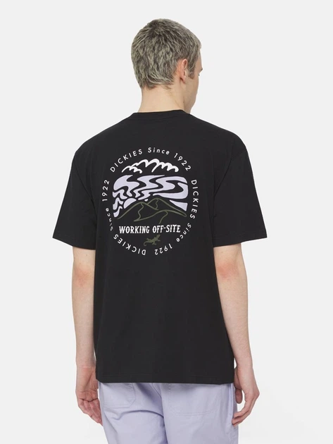 Футболка довга бавовняна чоловіча Dickies DK0A4YR2BLK1 M Чорна (800070321197) - зображення 2