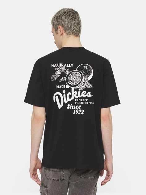 Koszulka męska bawełniana Dickies DK0A4YYMBLK1 M Czarna - obraz 2