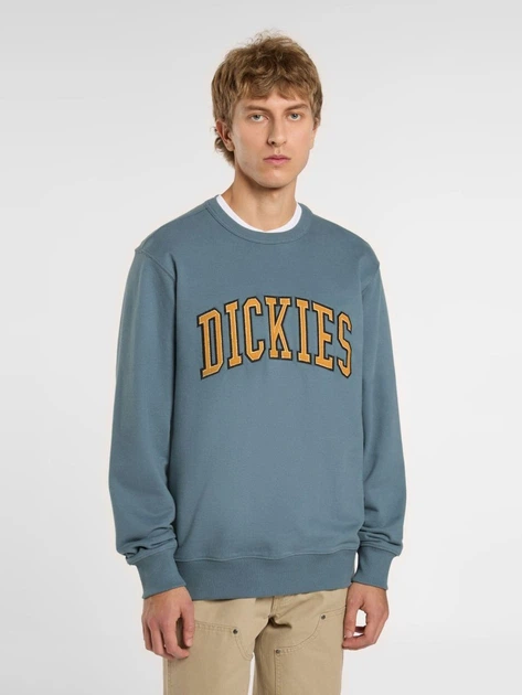 Bluza bez kaptura męska Dickies DK0A4XABG701 S Jasnoniebieska - obraz 1