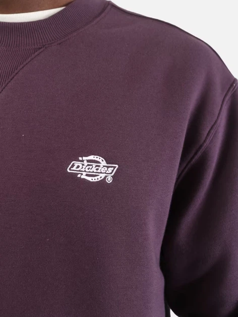 Bluza bez kaptura męska Dickies DK0A4Y6QJ561 S Fioletowa - obraz 4