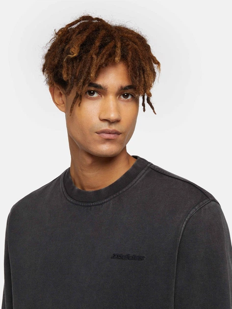 Світшот чоловічий Dickies DK0A864HBLK1 S Чорний (800070348063) - зображення 4