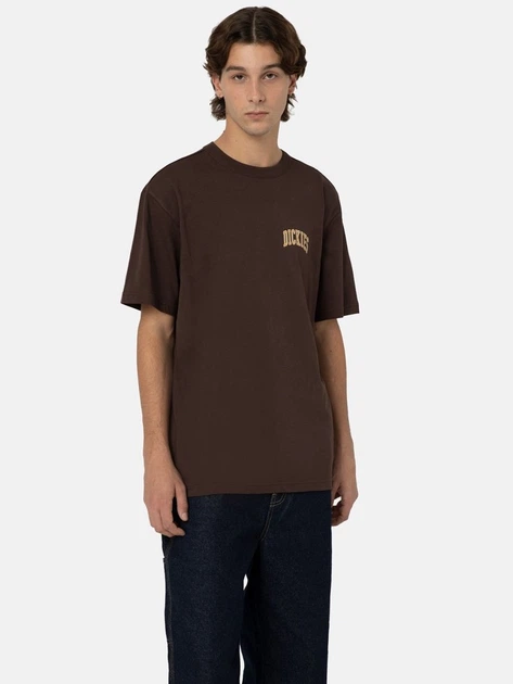 Футболка довга бавовняна чоловіча Dickies DK0A4Y8OD711 XL Коричнева (800070313486) - зображення 1