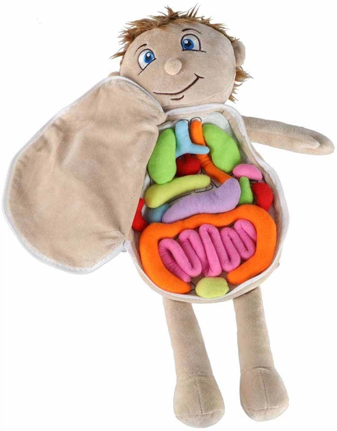 Лялька м'яка KIK Вивчення анатомії Хлопчик (5903039769076) - зображення 2