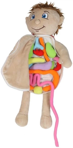 Лялька м'яка KIK Вивчення анатомії Хлопчик (5903039769076) - зображення 3