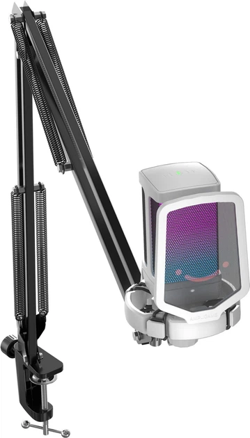 Mikrofon pojemnościowy Fifine Q6TW USB White (4820216974850) - obraz 1