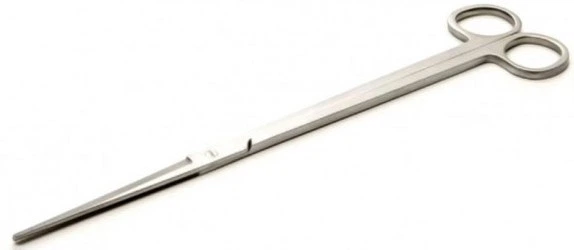 Nożyczki  AquaEl Proste 25 cm (245263) (5905546209755) - obraz 1