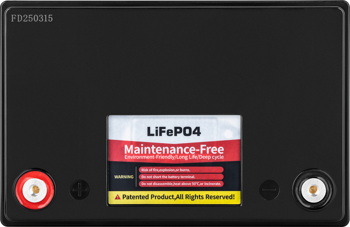 Акумуляторна батарея LiFePO4 Vipow 12 В 100Ah з BMS (BAT0496) - зображення 2