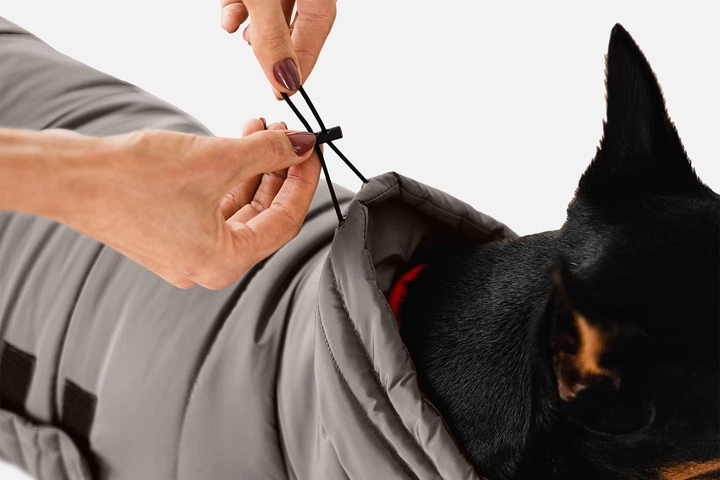 Одежда Noble Pet Bobby Gray – пуховик для собак 7XL (B4118/7XL) - Фото 7 Одежда Noble Pet Bobby Gray – пуховик для собак 7XL (B4118/7XL) - изображение 7
