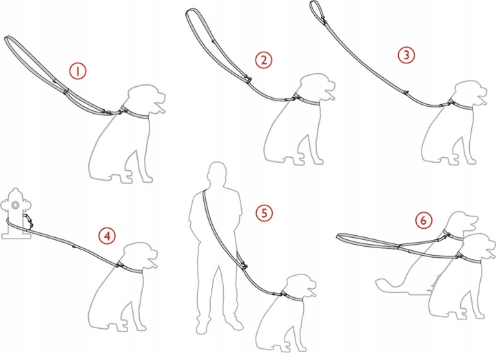 Smycz regulowana Amiplay Shine 6 w 1 L 100 - 200 cm Czerwona (5906160226845) - obraz 3