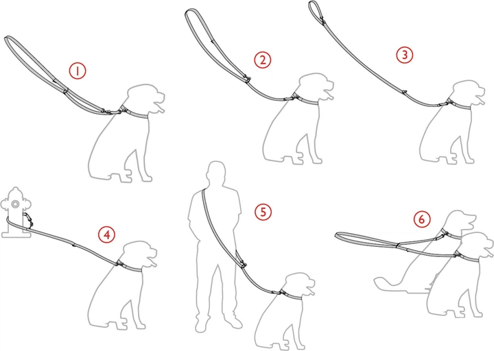 Smycz regulowana Amiplay Reflective 6 w 1 XL 100 - 200 cm Niebieska (5907563215634) - obraz 3