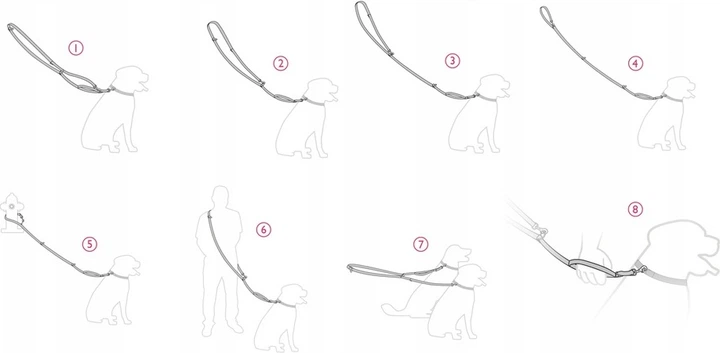 Регульований повідець Amiplay Samba 8 в 1 XL 200 - 400 см Бірюзовий (5907563301573) - зображення 3