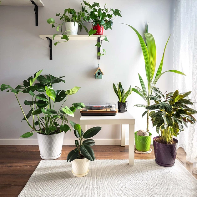 Doniczka na kwiaty z podstawką Kadax Amily K8153 18 cm 3 szt. Szary - obraz 7