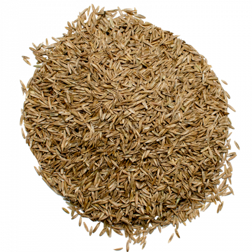 Семена газонной травы универсальной Green Seeds 1кг - изображение 4