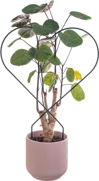 Підставки для горщиків Kadax Fora серце K11359 3 шт. - зображення 2