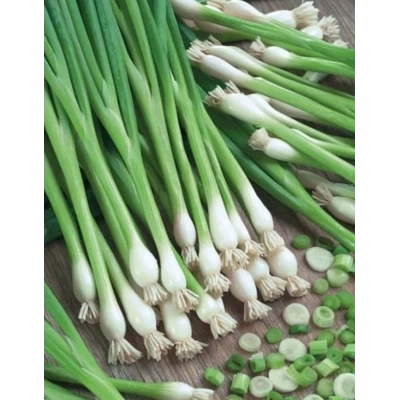 Семена Лука -батун GL Seeds Апрельский Многолетний 1г - Фото 2 Семена Лука -батун GL Seeds Апрельский Многолетний 1г - изображение 2