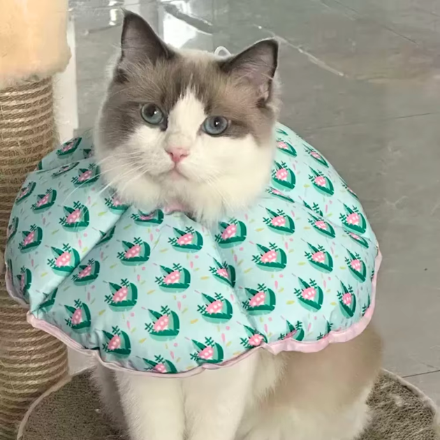 Ветеринарный воротник для котов и собак Derby Elizabeth Collar DC0188-09, XS 7-12 см - Фото 5 Ветеринарный воротник для котов и собак Derby Elizabeth Collar DC0188-09, XS 7-12 см - изображение 5