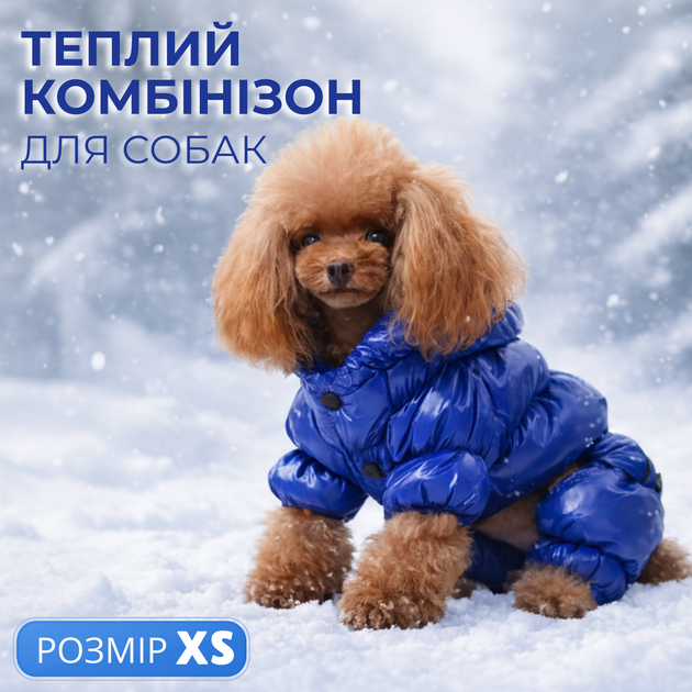 Теплый зимний комбинезон для собак на флисе XS синий спинка 18 см обхват 32 см - Фото 1 Теплый зимний комбинезон для собак на флисе XS синий спинка 18 см обхват 32 см - изображение 1