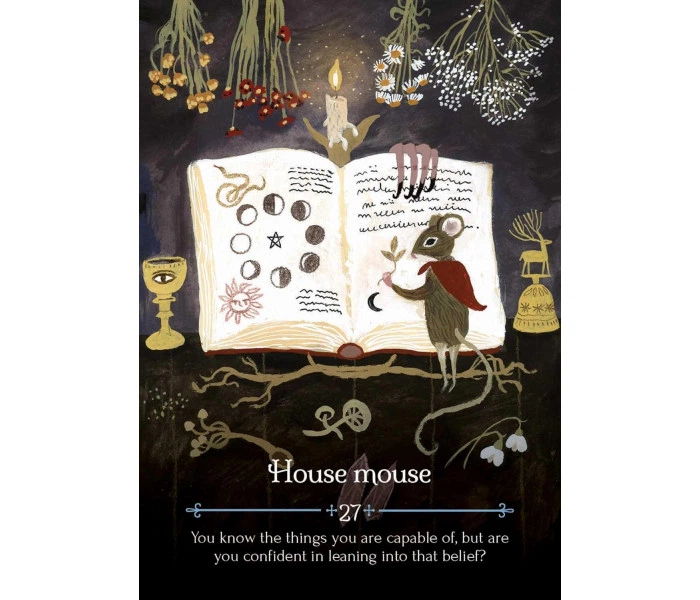 Карты Оракул Время года ведьмы Имболк - Seasons of the Witch. Imbolc Oracle. Rockpool Publishing - изображение 7